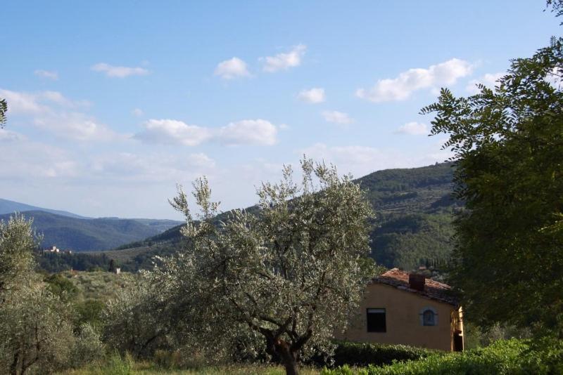 Agriturismo Il Giardino Pontassieve Exteriör bild