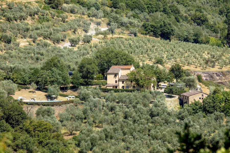 Agriturismo Il Giardino Pontassieve Exteriör bild